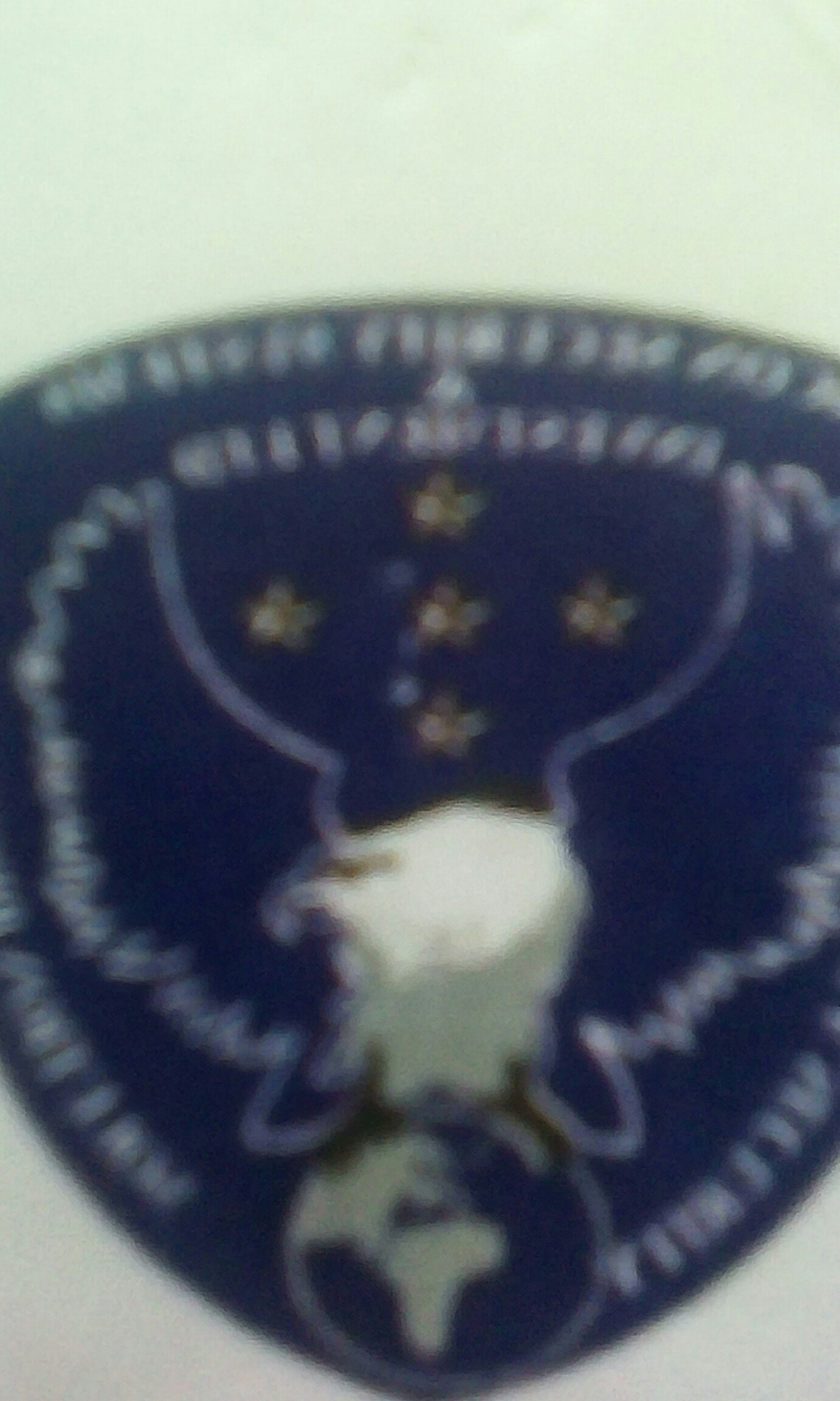 ICON SECURITY SYSTEMS & INVESTMENT LTD. logo